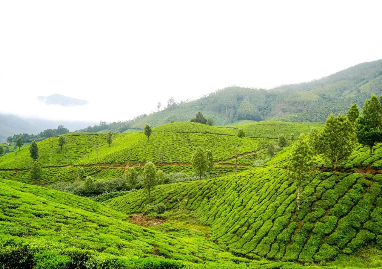 Arivikad Tea Bungalow Munnar By Voye Homes Suryanelli Exterior photo