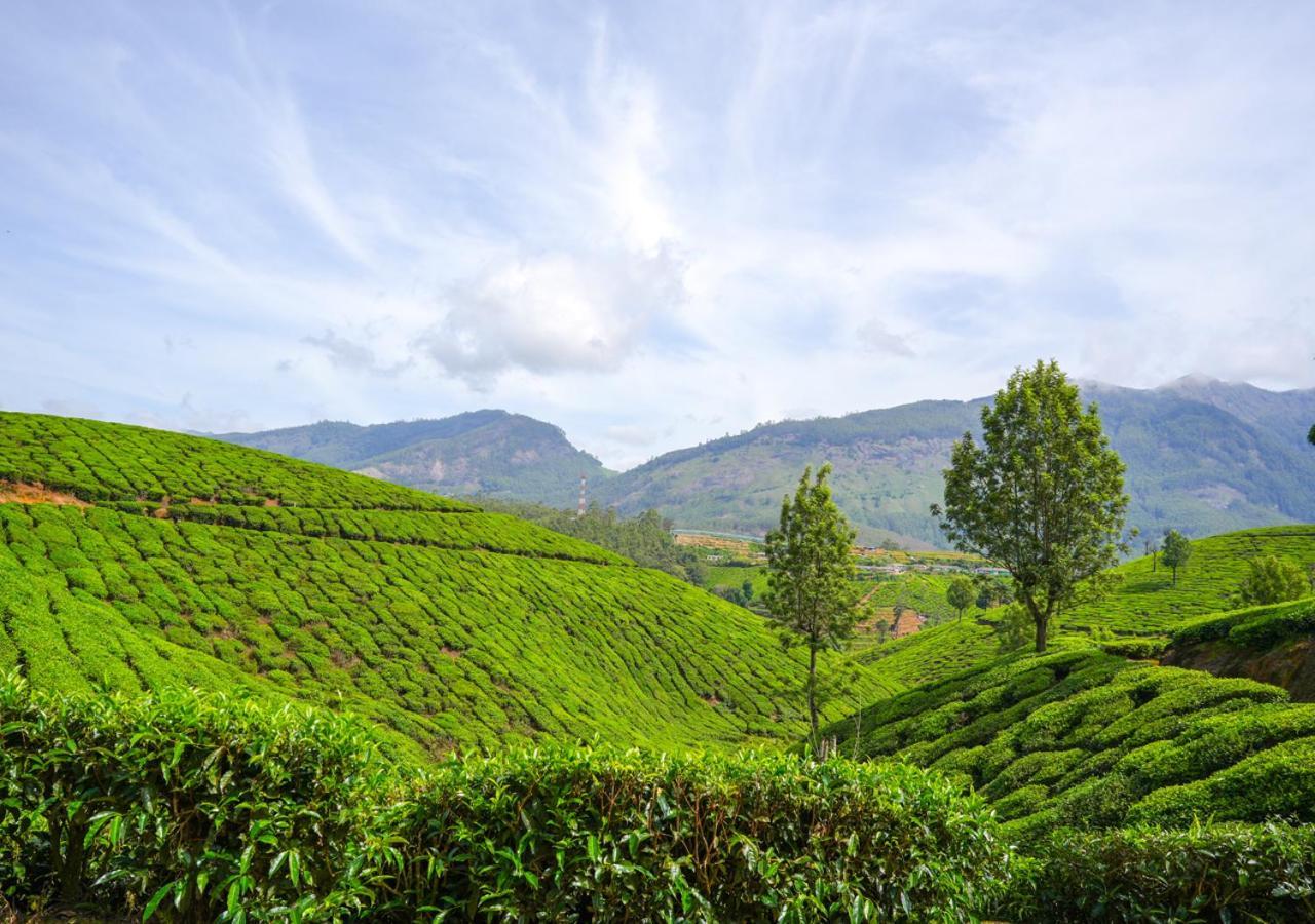 Arivikad Tea Bungalow Munnar By Voye Homes Suryanelli Exterior photo